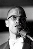 Malcolm X's meeting